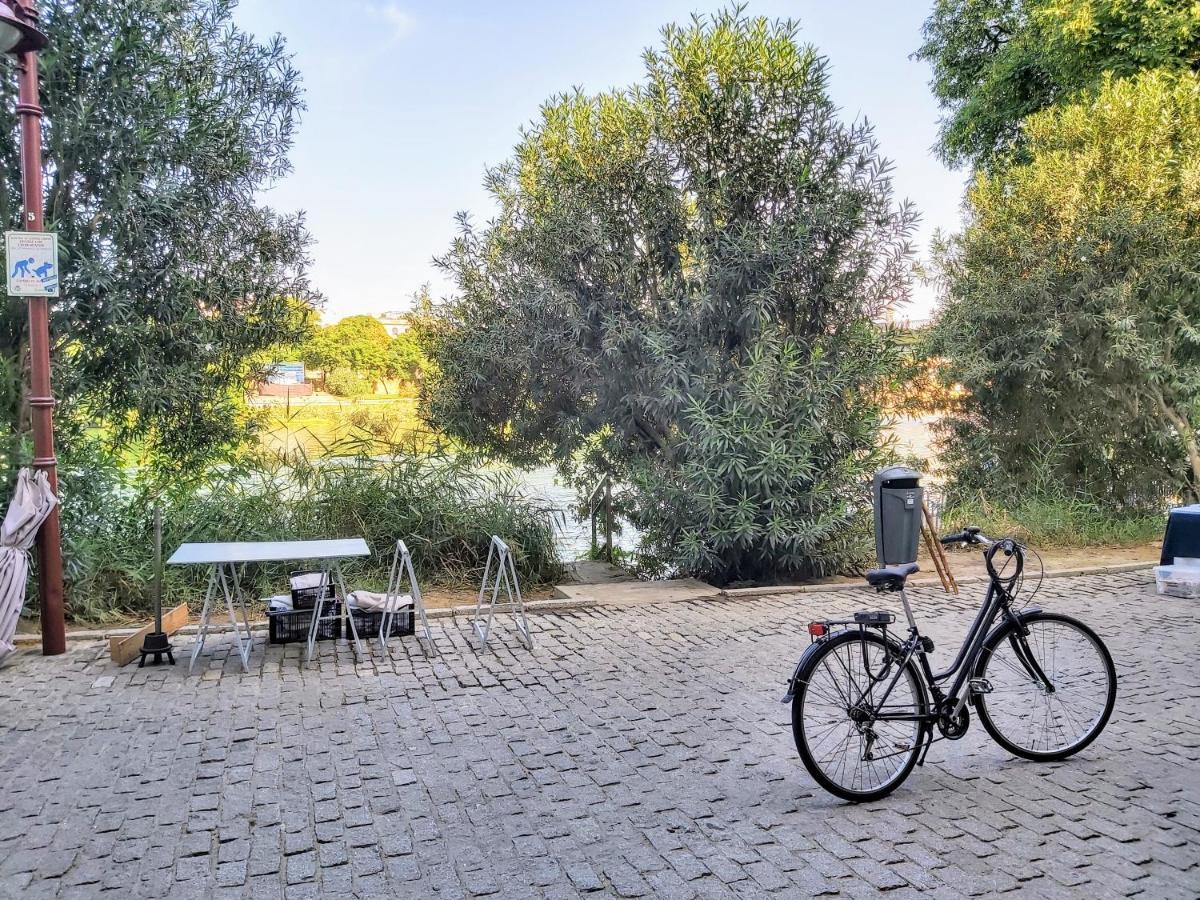 Triana Procurador Con Terraza Privada Apartment Seville Luaran gambar
